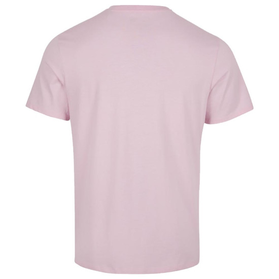 O'neill Ανδρική κοντομάνικη μπλούζα Arrowhead T-Shirt